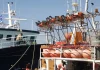 Επιδότηση 40 λεπτά του αλιευτικού πετρελαίου για το διάστημα Σεπτεμβρίου-Οκτωβρίου