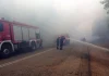 Φωτιές σε Λακωνία και Ιωάννινα: Μεγάλη κινητοποίηση της Πυροσβεστικής – Σηκώθηκαν εναέρια μέσα