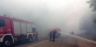 Φωτιές σε Λακωνία και Ιωάννινα: Μεγάλη κινητοποίηση της Πυροσβεστικής – Σηκώθηκαν εναέρια μέσα