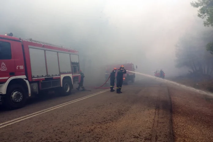 Φωτιές σε Λακωνία και Ιωάννινα: Μεγάλη κινητοποίηση της Πυροσβεστικής – Σηκώθηκαν εναέρια μέσα