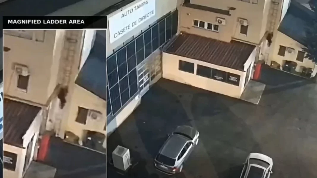 Οι υπηρεσίες ασφαλείας της Ρουμανίας εξάρθρωσαν δίκτυο δολιοφθορών που φέρεται να συντόνιζε η Ρωσία